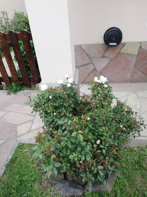 Madre Roca Apartman El Chalten Kültér fotó